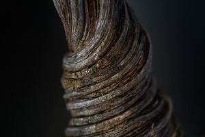 Movement VIII