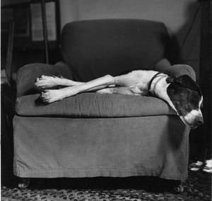Sleeping Series, silver print, © Joanne Leonard