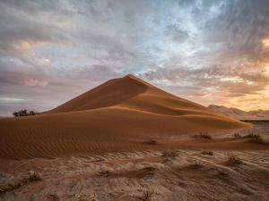 Dune
