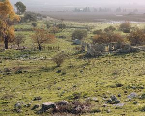 Tel Kadesh