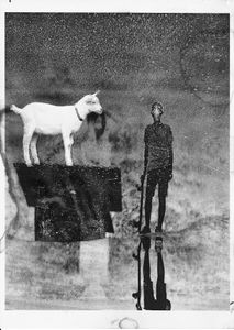 In Goat We Trust
