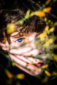 eye