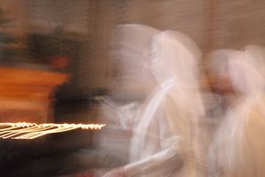 Drawn by the Light