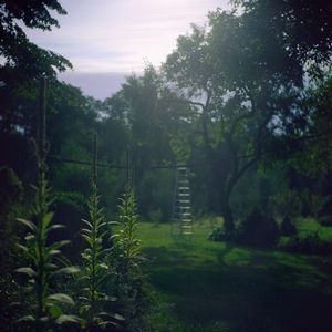 the garden