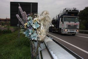 Fiori recisi