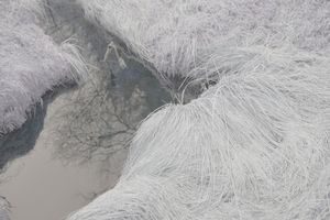 'In between the pastures', 1st version.