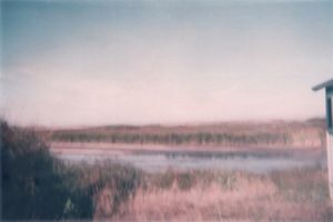 Coastal 3
