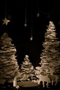 Winter © Amber Hall