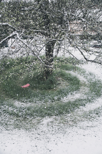 untitled from the series "Waiting for the Awakening"