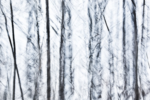Snow #D78414