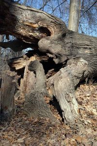 Grave Sense of Humor.