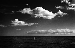 From the book "Till Human Voices Wake Us" © Kramer O'Neill