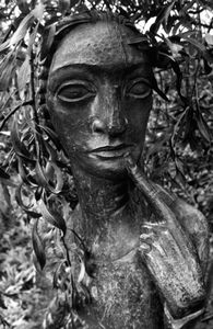 Maiden.  Sissinghurst, UK