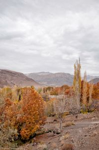 Autumn