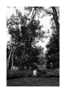 Human Nature- Namadgi - Australia #8