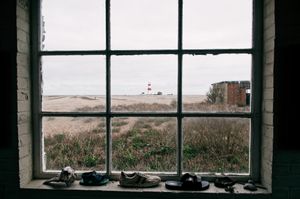 Untitled 6