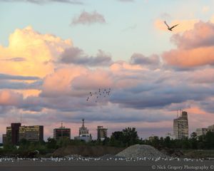 Fly-over