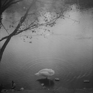Sentimental Journey I