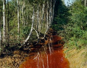 Bei Senftenberg, Oberspreewald-Lausitz, 2009