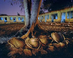 African Nights