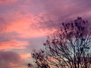 Ditchling sky 2