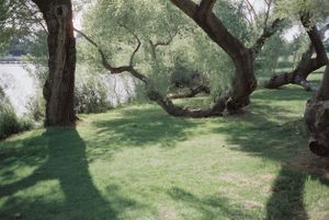 riverbank Oasis found