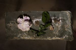 Untitled 3