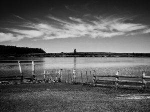 Beside the water II