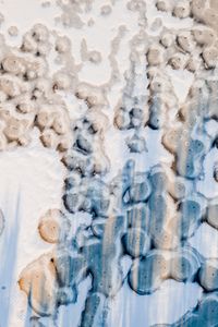 Life Beneath
