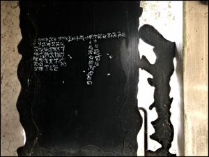 L'Effimero e L'Eterno - Solitude