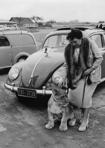 Women with Beetles