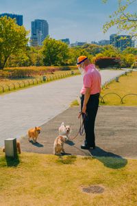 With the Dogs