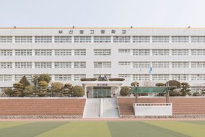 Fifth School Day (IV)