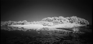 Mother Lake in White #11