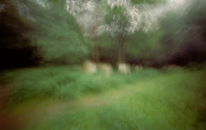 Tower Hamlets Cemetery