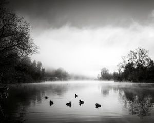 Mist on the Lake