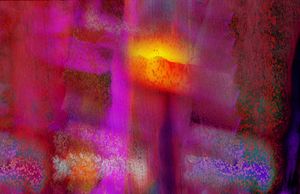 FOLLOWING THE LIGHT