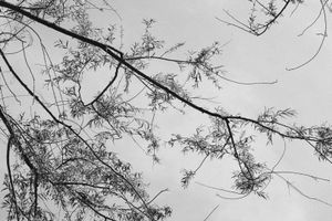 © Emma Godfrey