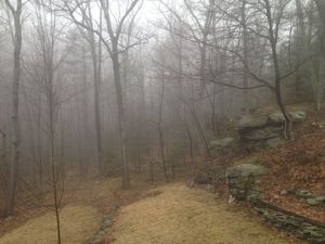 Mar 28  9:38am
