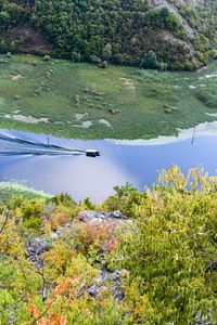 Skadar lake, Montenegro