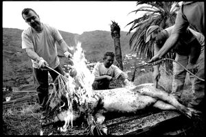 © Oliver Weber - Matanza