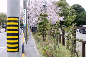 Parallel, Ise