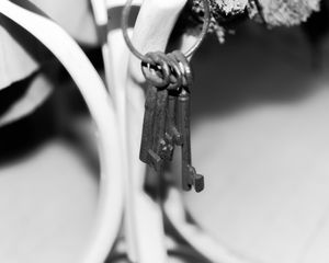 winner of photography awards