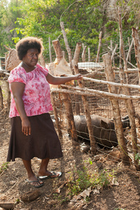 Laisavie Daisy Joel, 41 years, Sunae Village, Moso Island. Standing next to her pigpen.