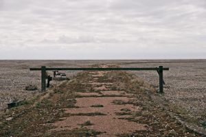 Untitled 5
