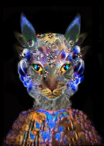 Doddy Cat