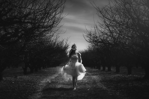 The Orchards