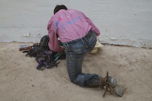 bull rider