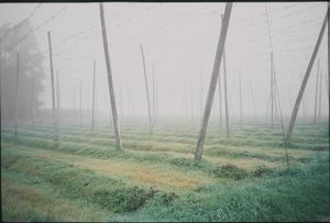 Captured analogue on slide film.