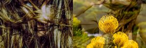 HANGING OUT – IN NATURE 2